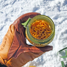 画像をギャラリービューアに読み込む, スタウト エア 400 | rivers(リバーズ)