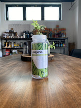 画像をギャラリービューアに読み込む, 地震で棚から落ちて少し傷がついた キッチン広口 0.5L ボトル | nalgene(ナルゲン )のコピー